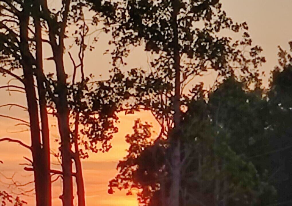 Photo of Outdoor in Clay City