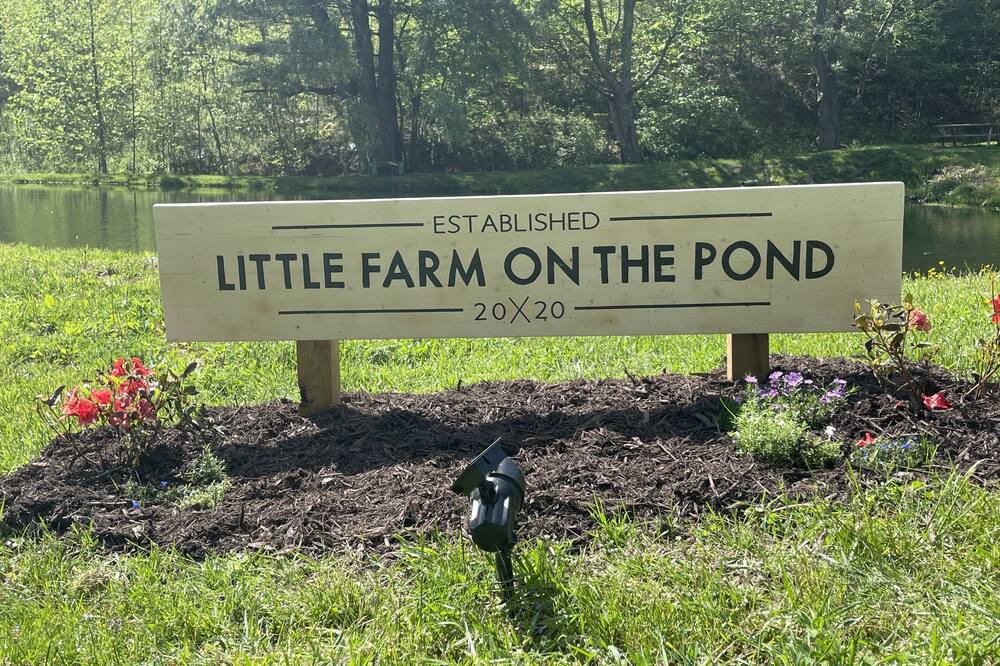 Photo of Outdoor in Todd