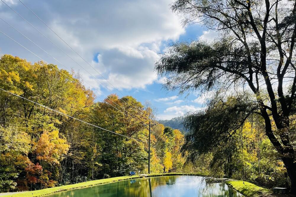 Photo of Outdoor in Todd