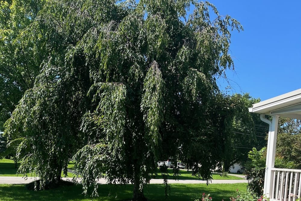 Photo of Outdoor in Berea