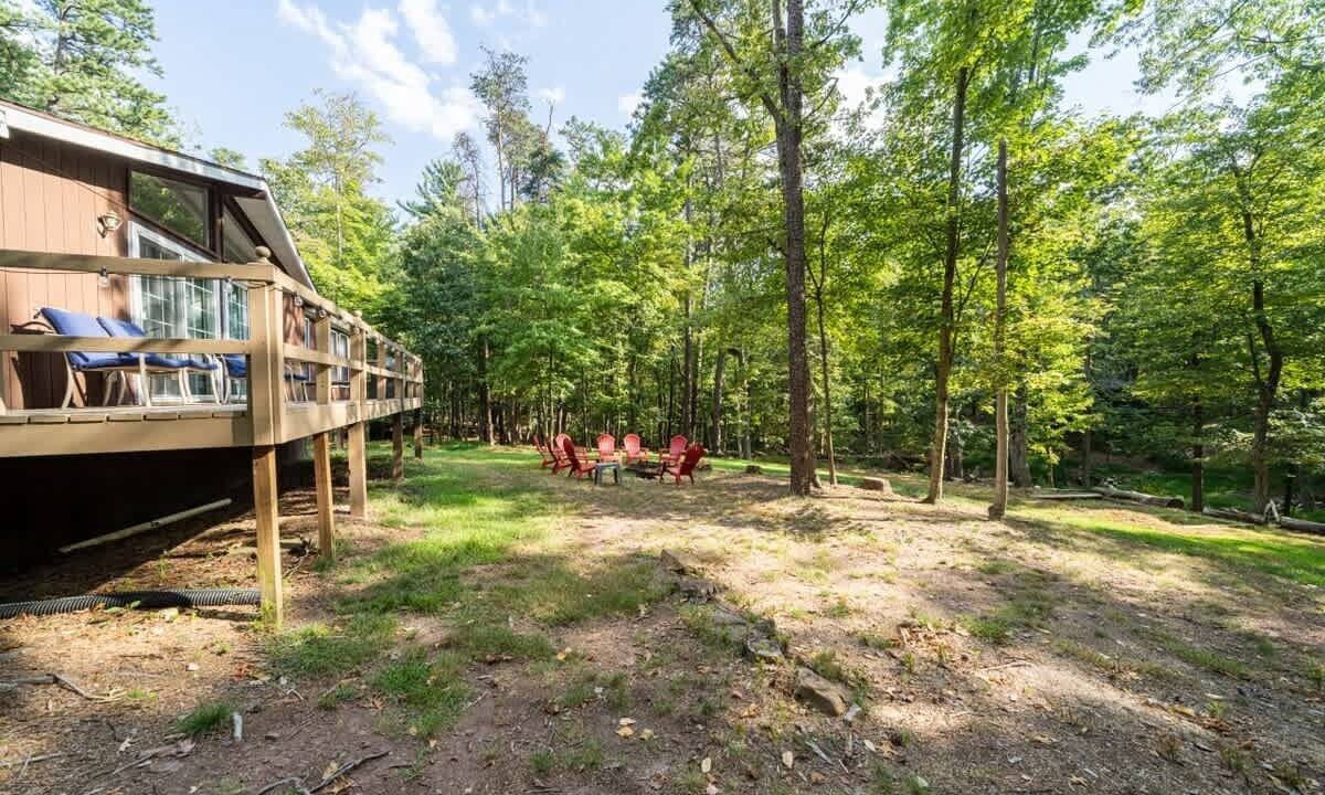 Photo of Outdoor in The Woods
