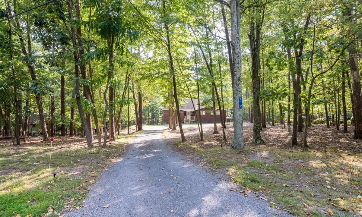 Photo of Outdoor in The Woods