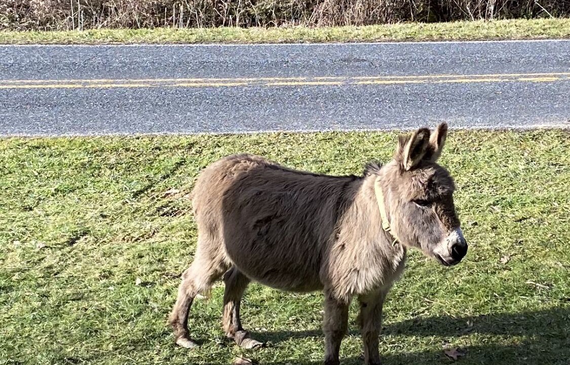 Photo of Others in Burnsville