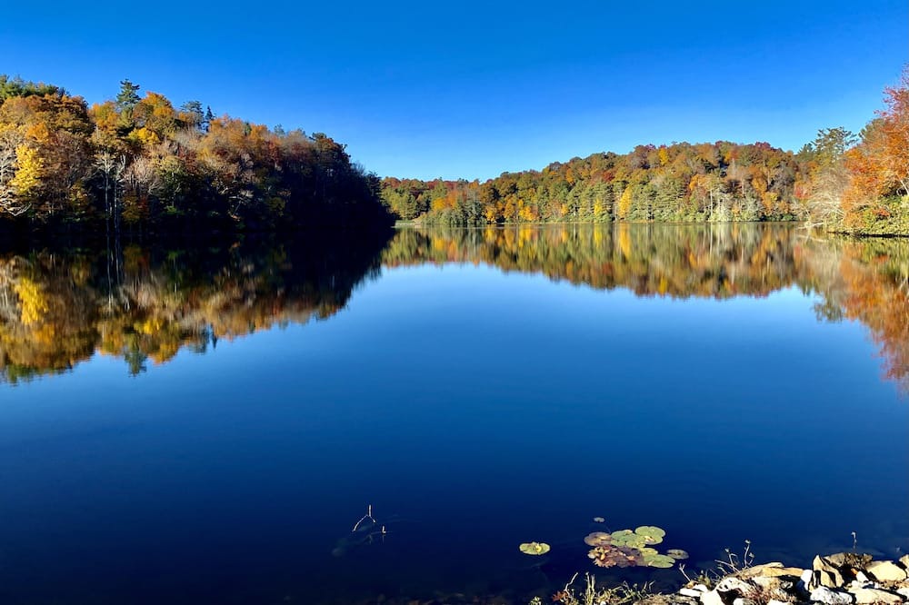 Photo of Outdoor in Newland