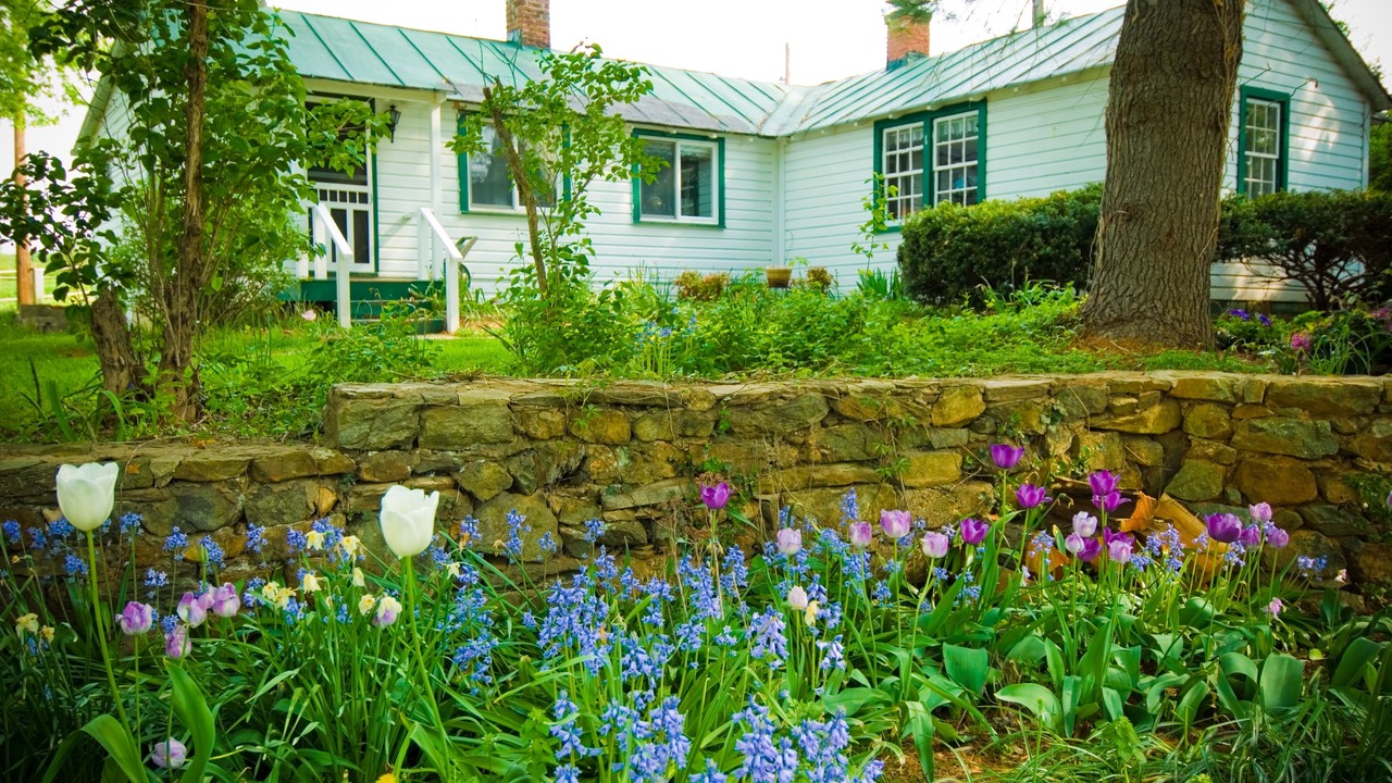 Photo of Outdoor in Middleburg