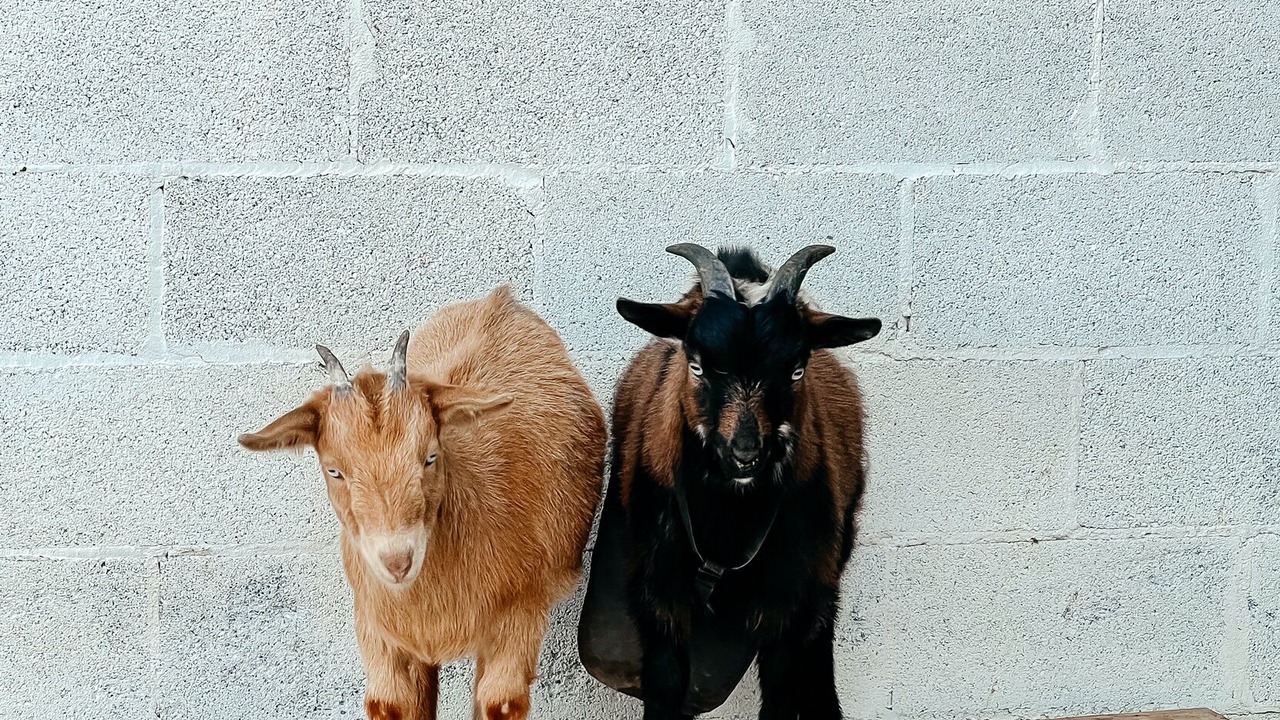 Photo of Others in Washington County