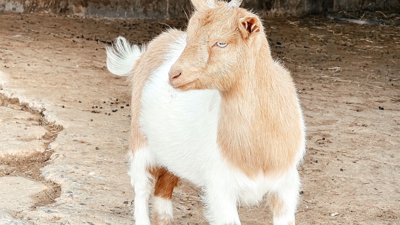 Photo of Others in Washington County