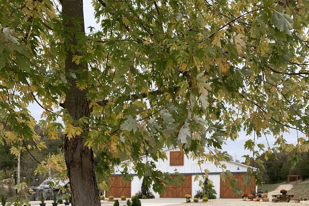 Photo of Outdoor in Bentonville