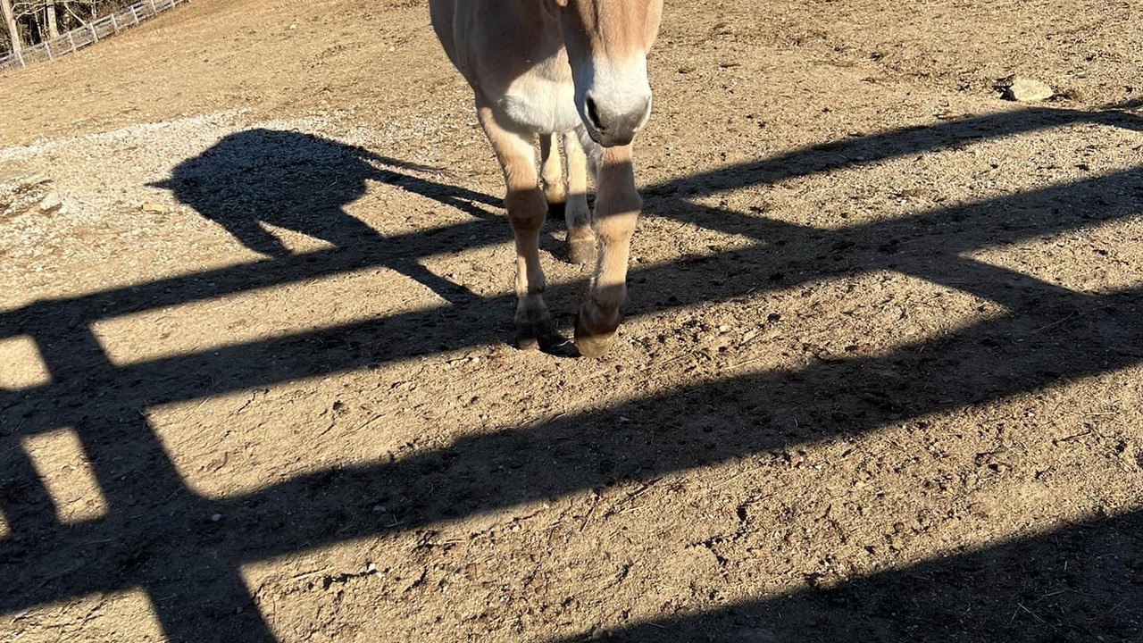 Photo of Others in Maysville