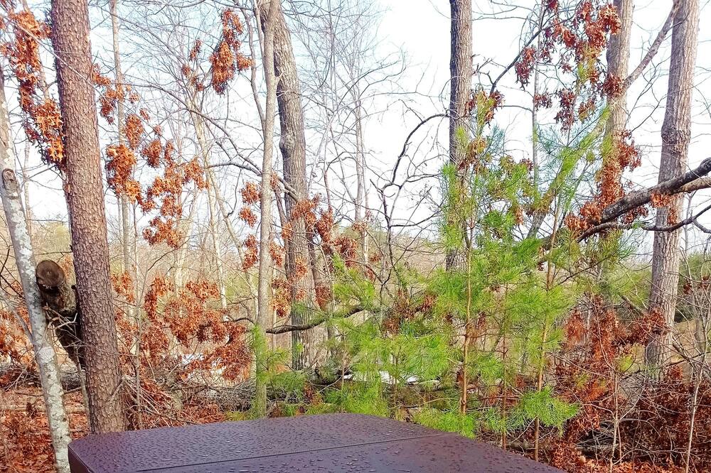 Photo of Outdoor in Stanton