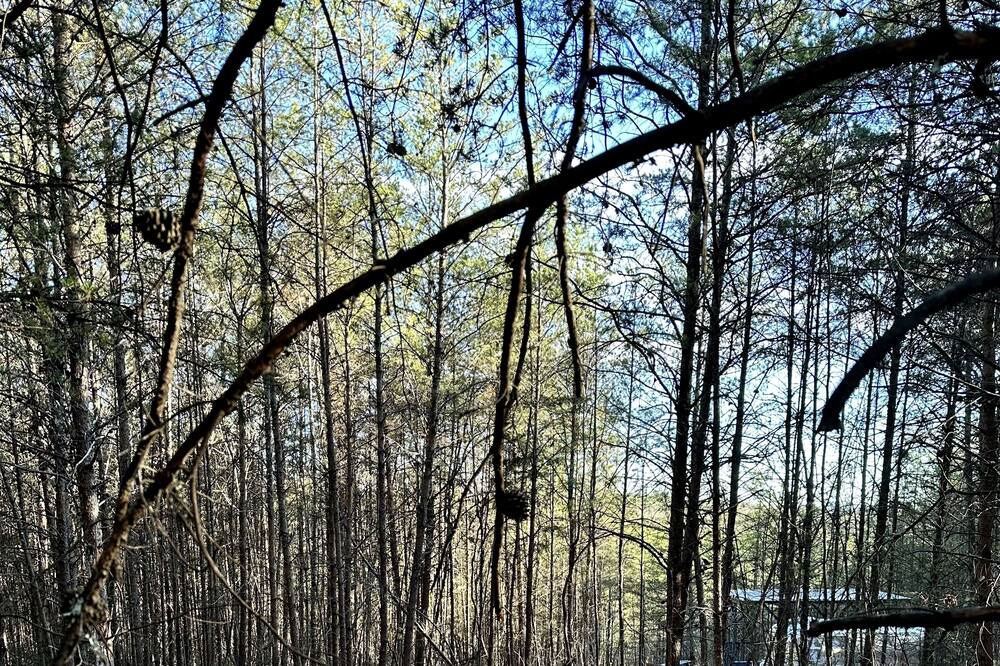 Photo of Outdoor in Lenoir