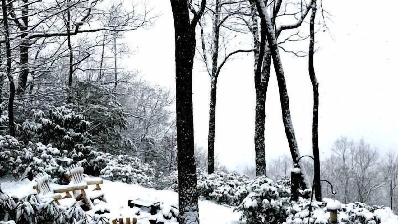 Photo of Outdoor in Apple Ridge