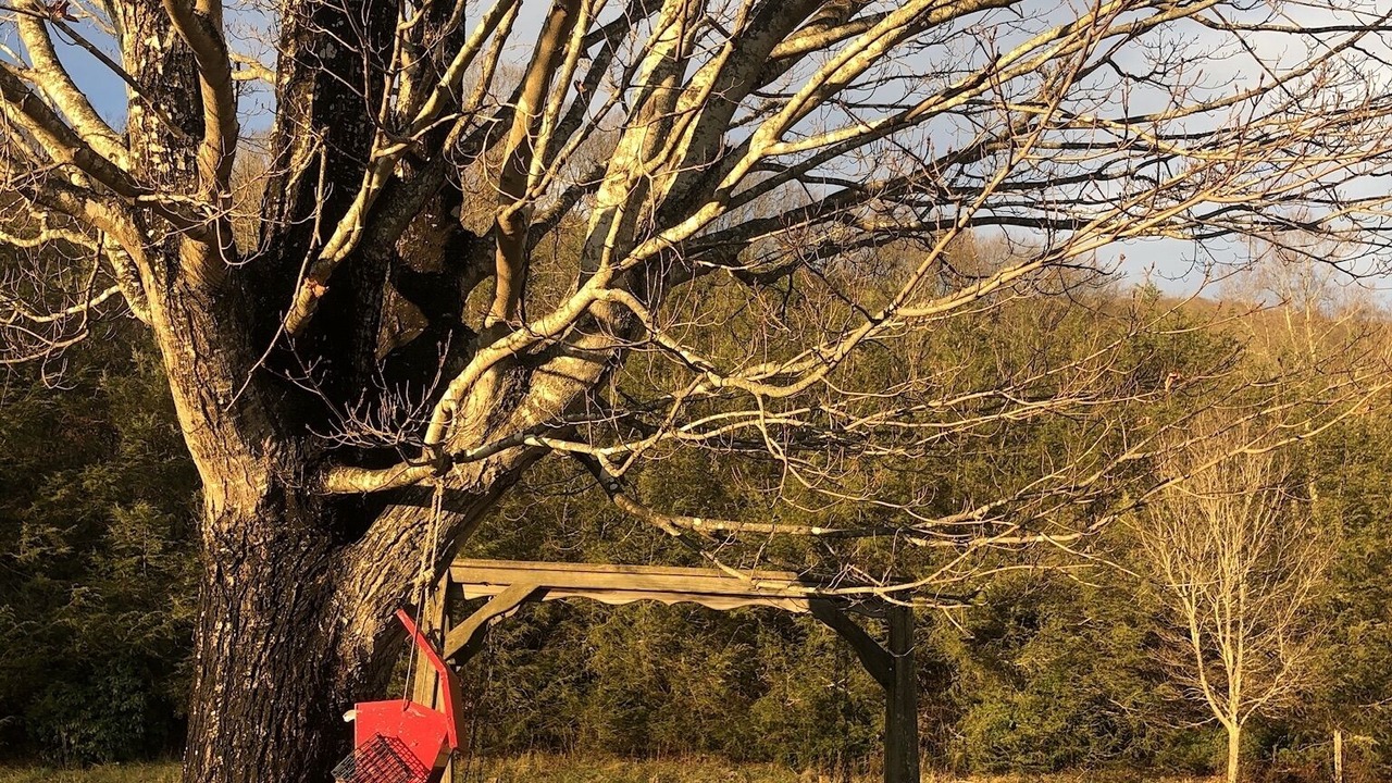 Photo of Others in Bakersville