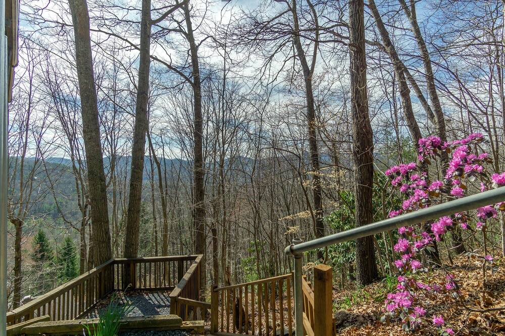 Photo of Others in Montreat