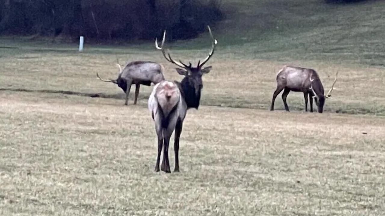 Photo of Outdoor in Pikeville