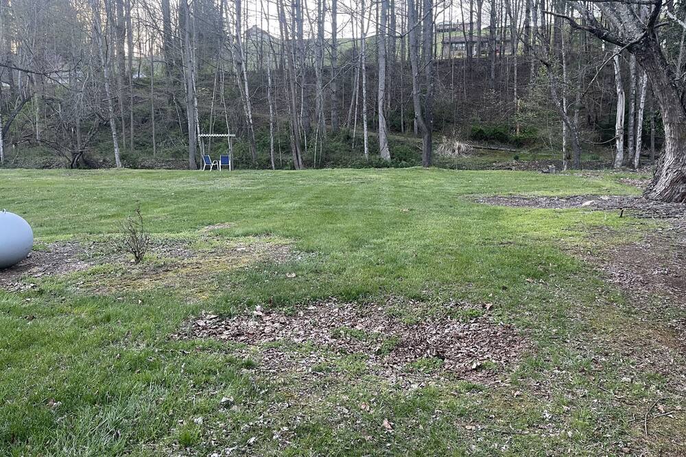 Photo of Outdoor in Mountain City