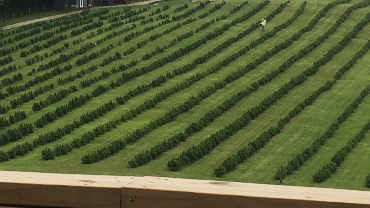 Photo of Outdoor in Zirconia