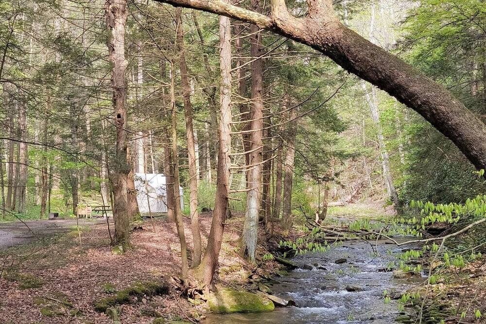 Photo of Others in Swanton