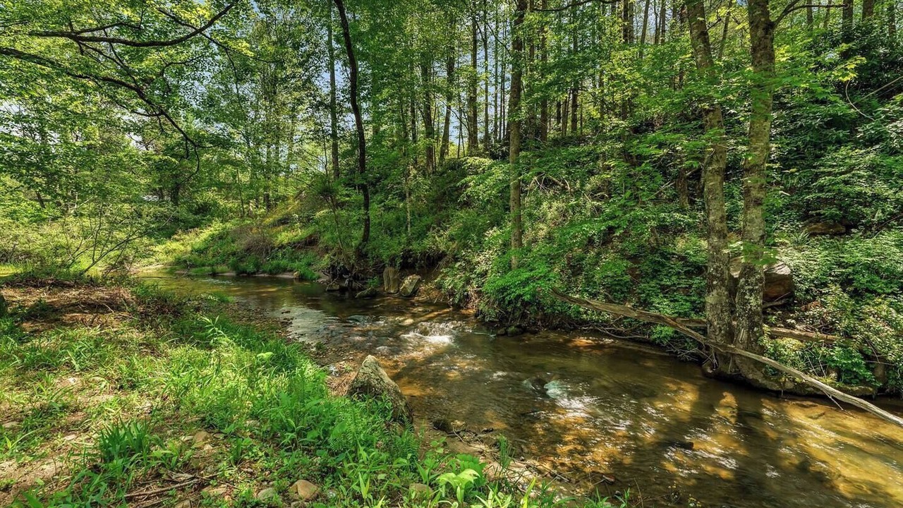 Photo of Outdoor in Newland