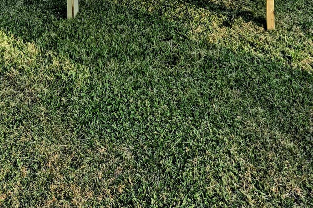 Photo of Outdoor in Jonesborough