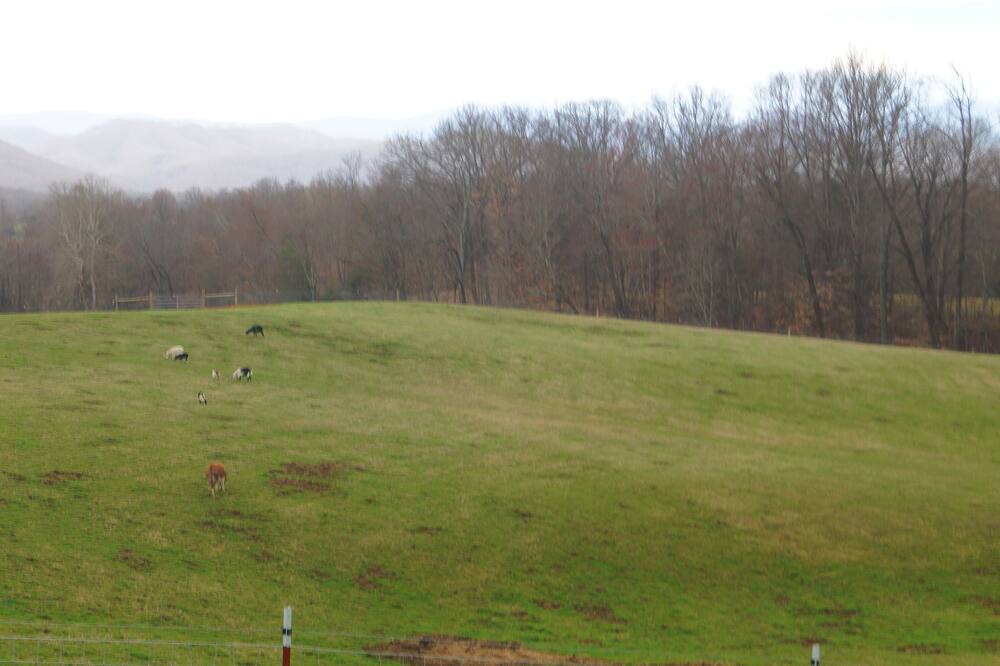 Photo of Others in Jonesborough