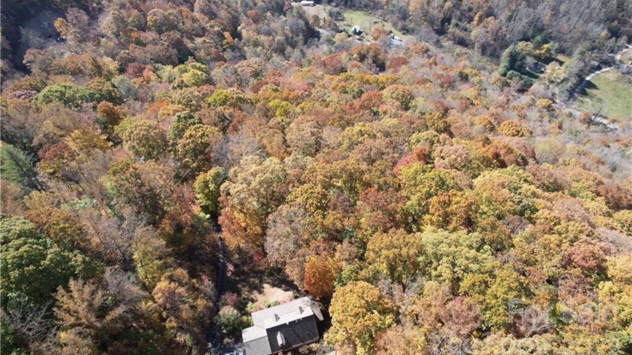 Photo of Outdoor in Barnardsville