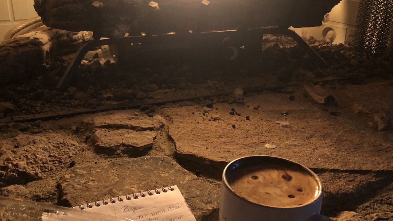 Photo of Others in Barnardsville