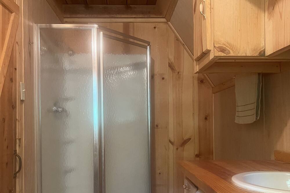 Photo of Bathroom in Wellington