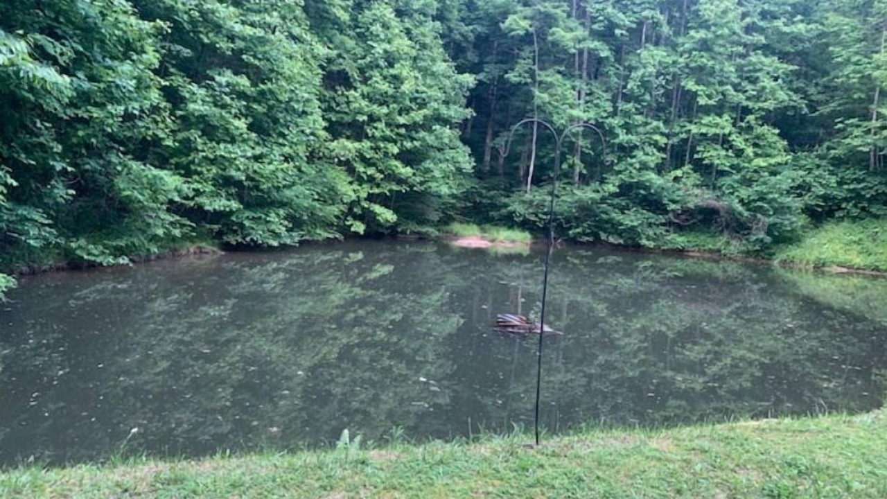 Photo of Outdoor in Roan Mountain