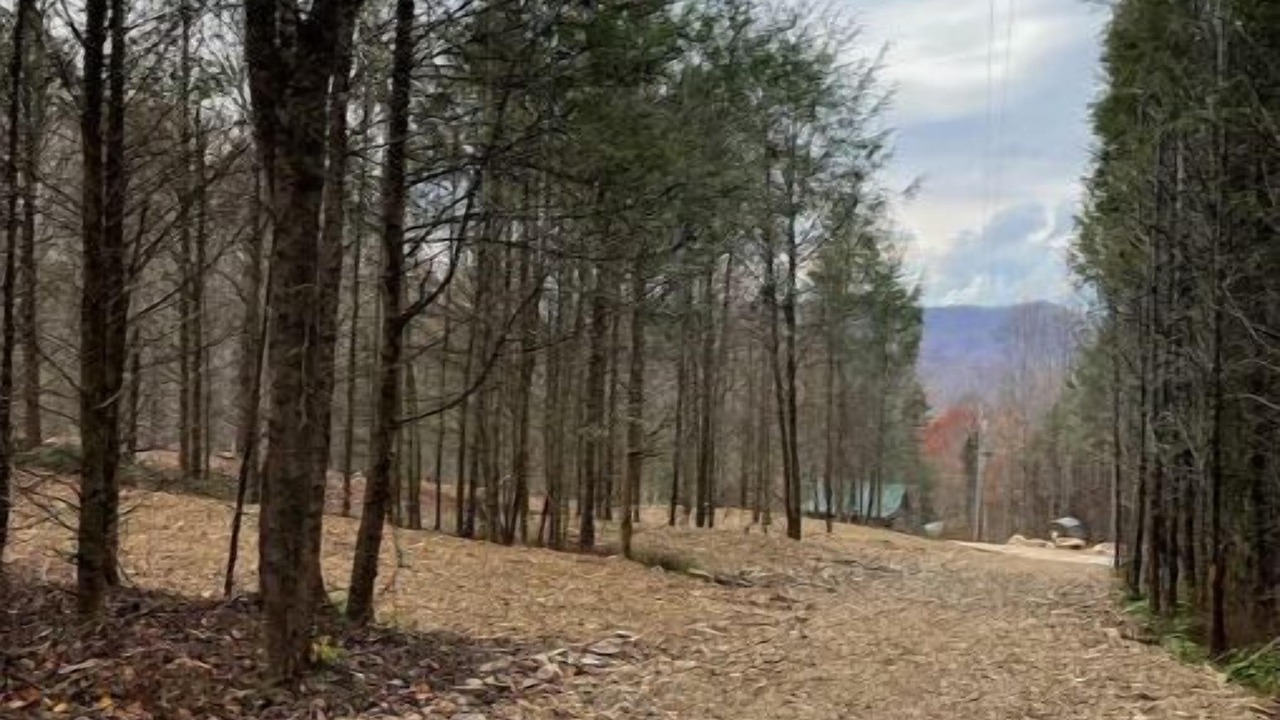 Photo of Others in Roan Mountain