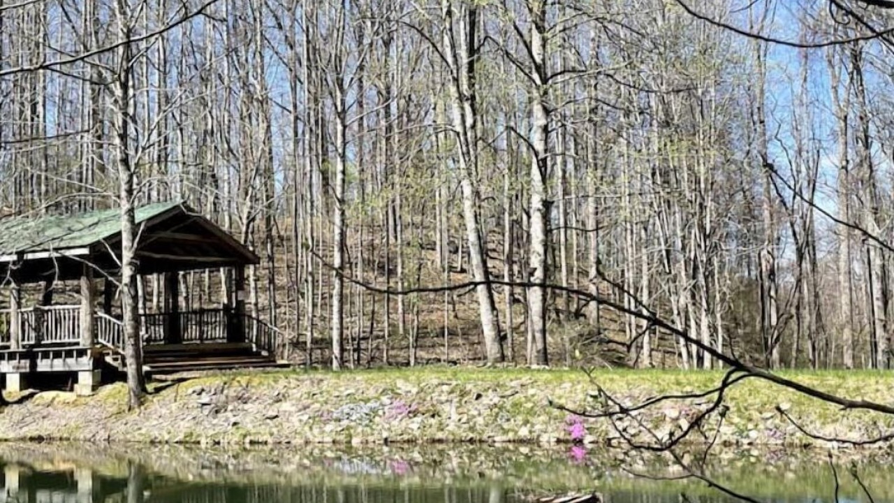Photo of Others in Roan Mountain