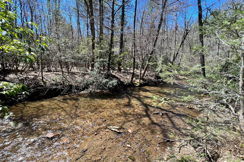 Photo of Others in Laurel Springs
