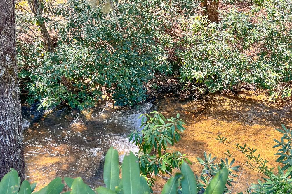 Photo of Others in Laurel Springs