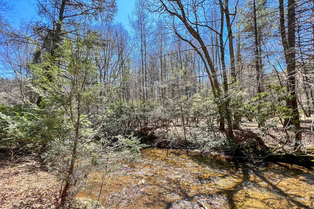 Photo of Others in Laurel Springs