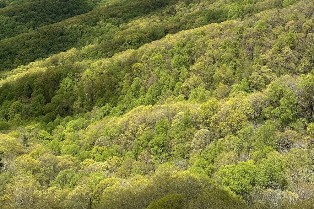 Photo of Outdoor in Mountain City