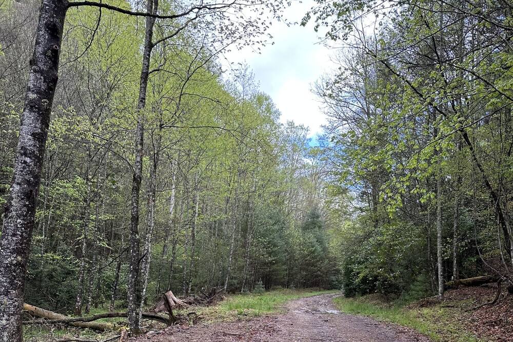 Photo of Outdoor in Mountain City