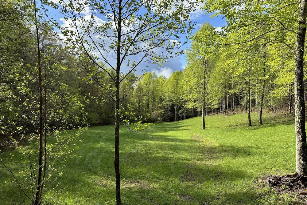 Photo of Outdoor in Mountain City