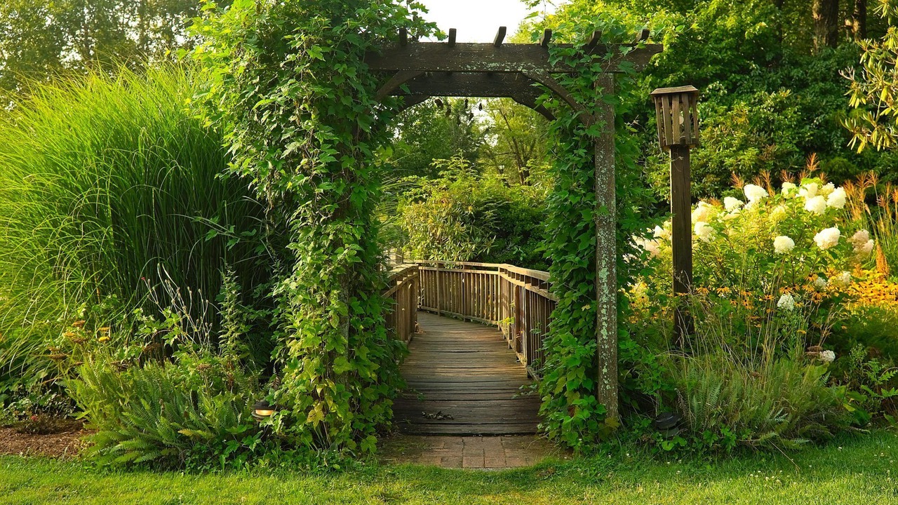 Photo of Outdoor in Blowing Rock