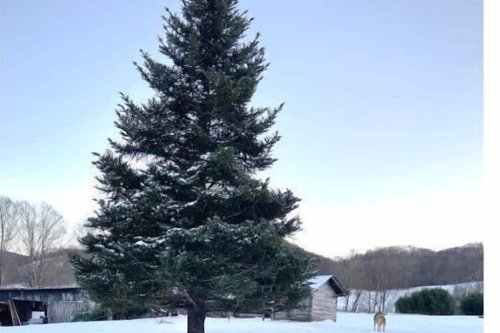 Photo of Outdoor in Creston