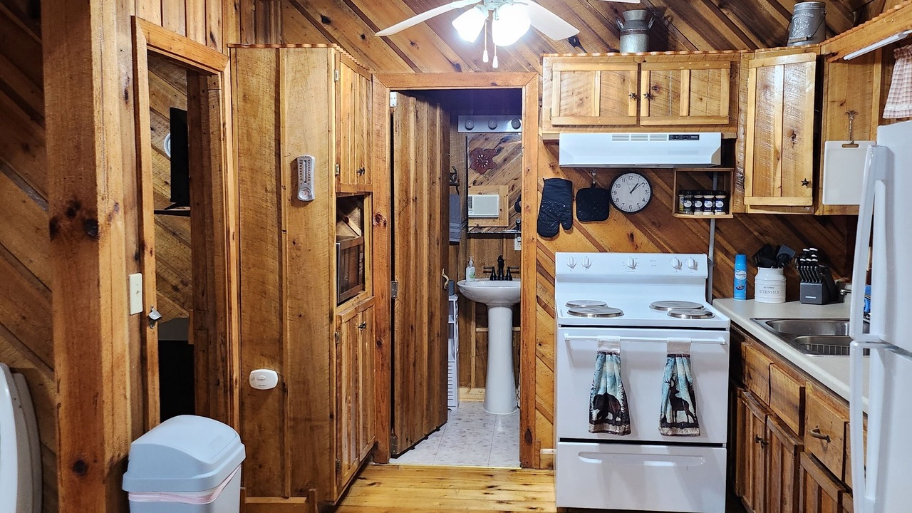 Photo of Kitchen in Wellington