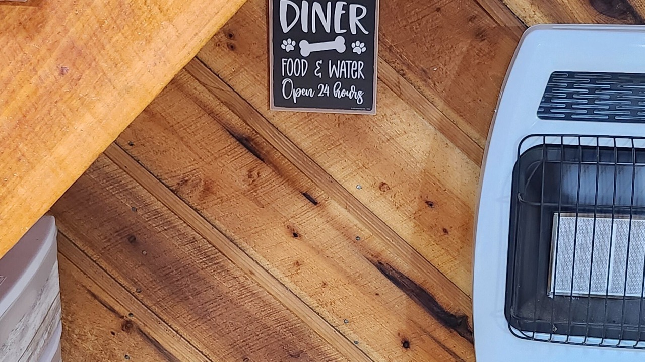 Photo of Others in Wellington