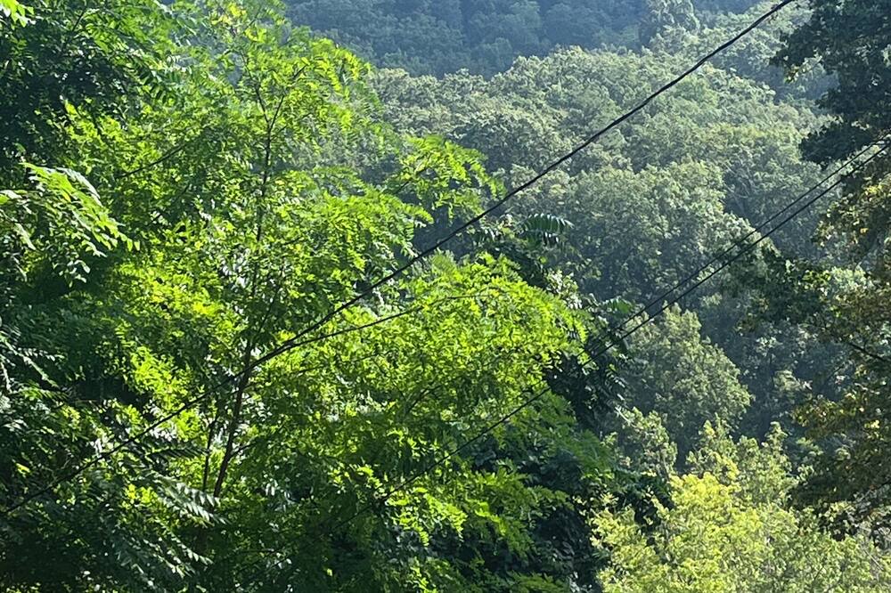 Photo of Others in Chimney Rock
