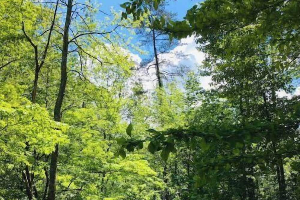 Photo of Outdoor in Means
