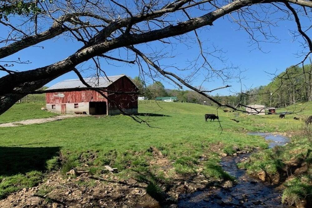 Photo of Outdoor in Hampton