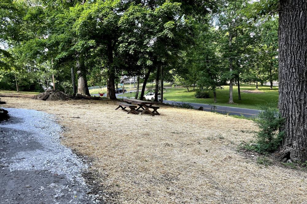 Photo of Outdoor in Knoxville