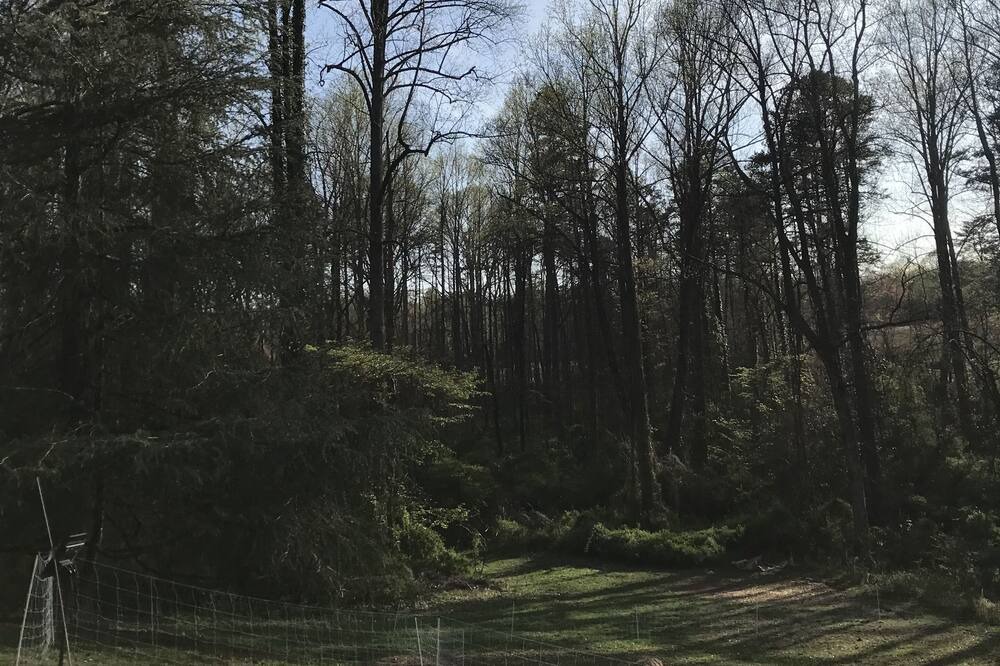 Photo of Others in Rutherfordton