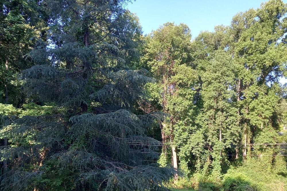Photo of Outdoor in Rutherfordton