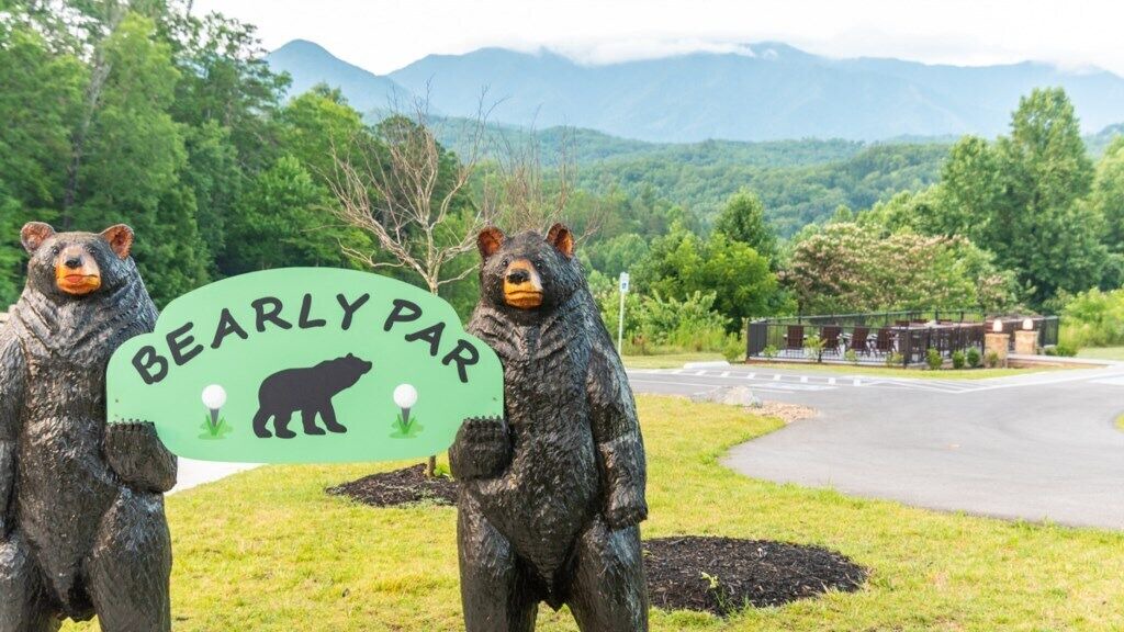 Photo of Others in Gatlinburg