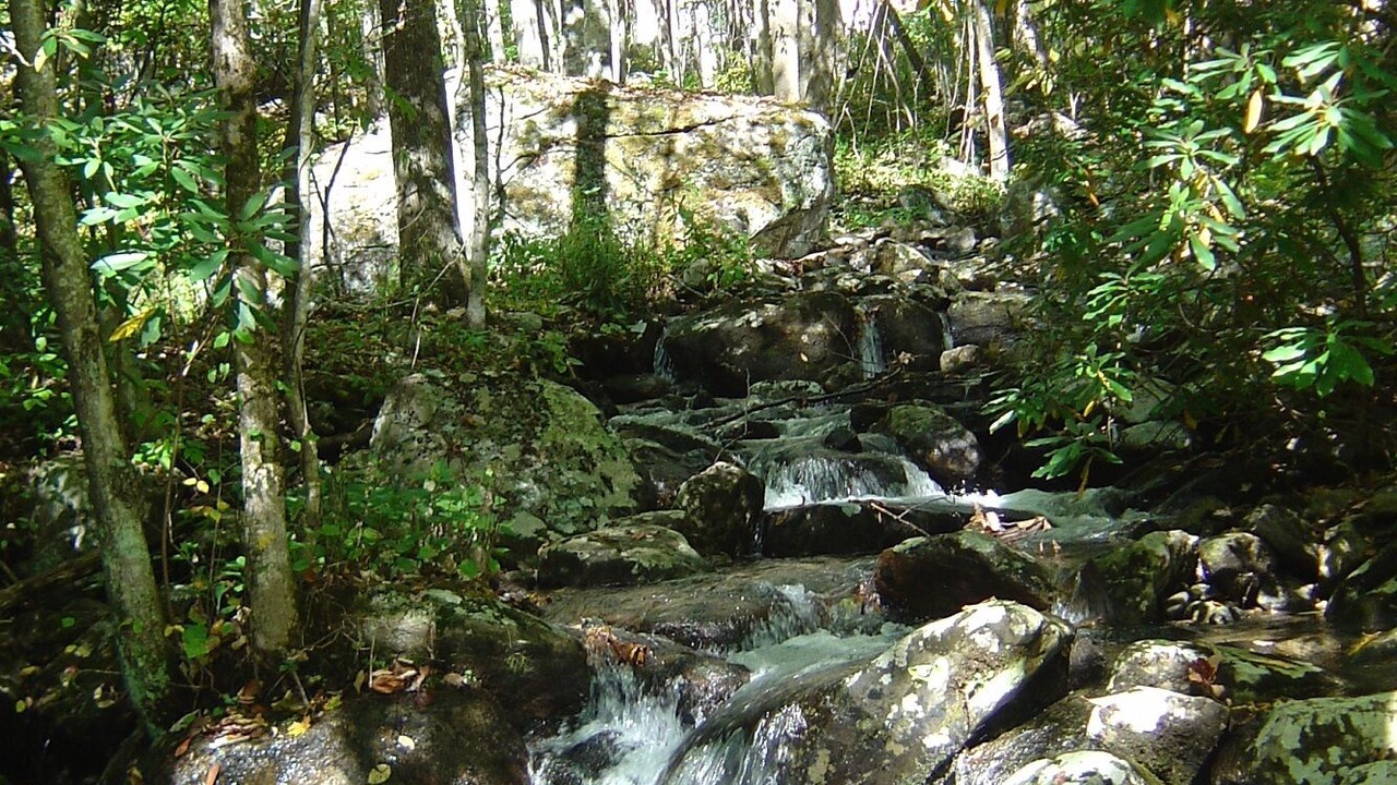 Photo of Outdoor in Bakersville