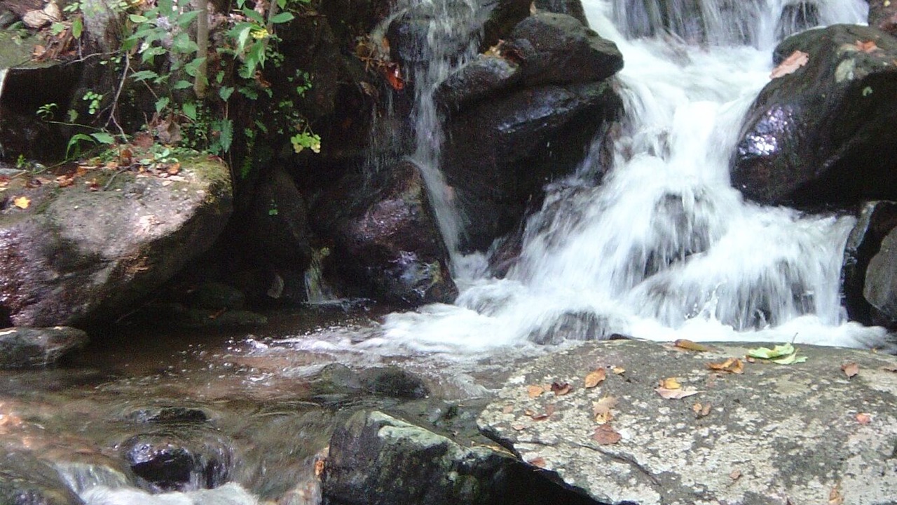 Photo of Outdoor in Bakersville